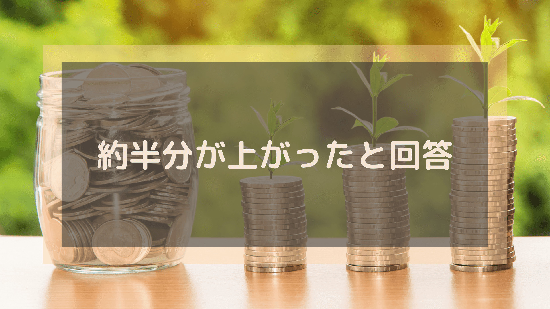 プログラミングスクール_おすすめ_転職_約半分が上がったと回答